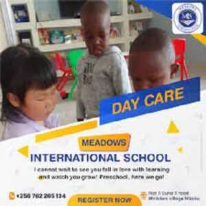 Meadows International School